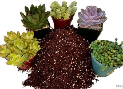 پوکه معدنی رشد سبزیجات چند برابر می نماید؟ پوکه معدنی رشد سبزیجات چند برابر می نماید؟