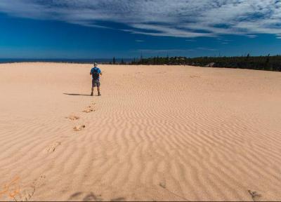 تپه های شنی آتاباسکا؛ شگفتی طبیعی در قلب کانادا تپه های شنی آتاباسکا؛ شگفتی طبیعی در قلب کانادا